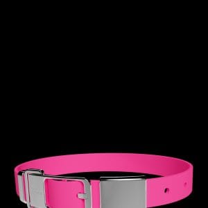 Frank Green Pet Collar Large Neon Pink