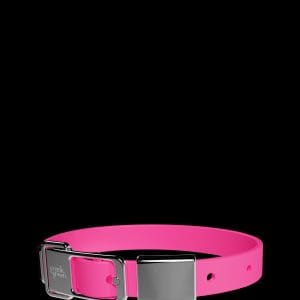Frank Green Pet Collar Medium Neon Pink