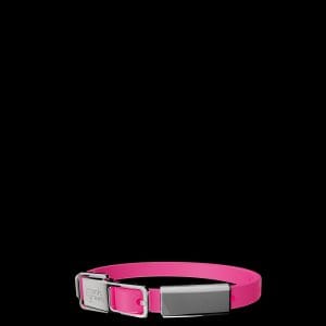 Frank Green Pet Collar Small Neon Pink